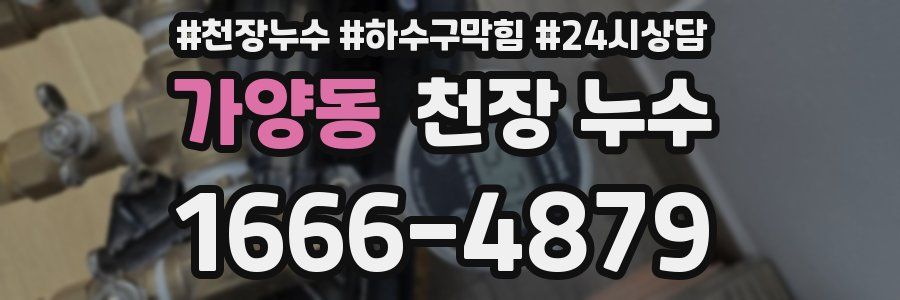 가양동 천장 누수