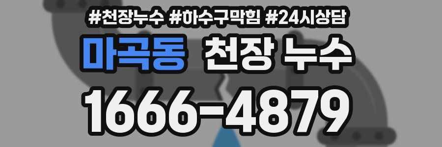 마곡동 천장 누수