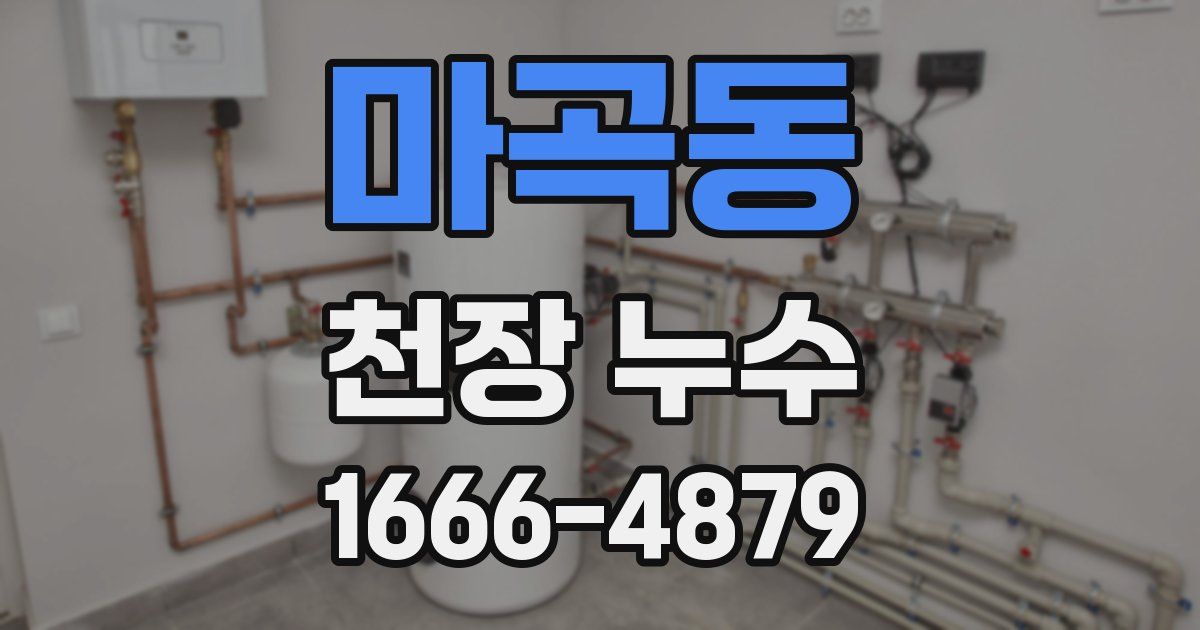 마곡동 천장 누수