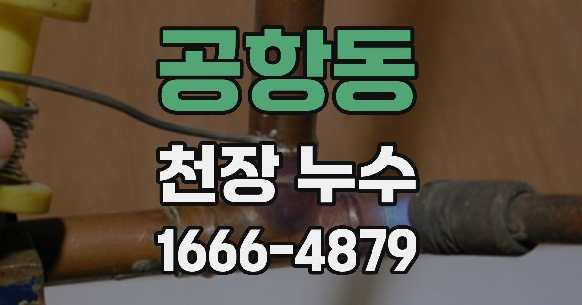 공항동 천장 누수