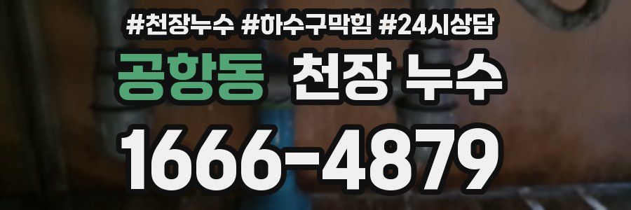 공항동 천장 누수