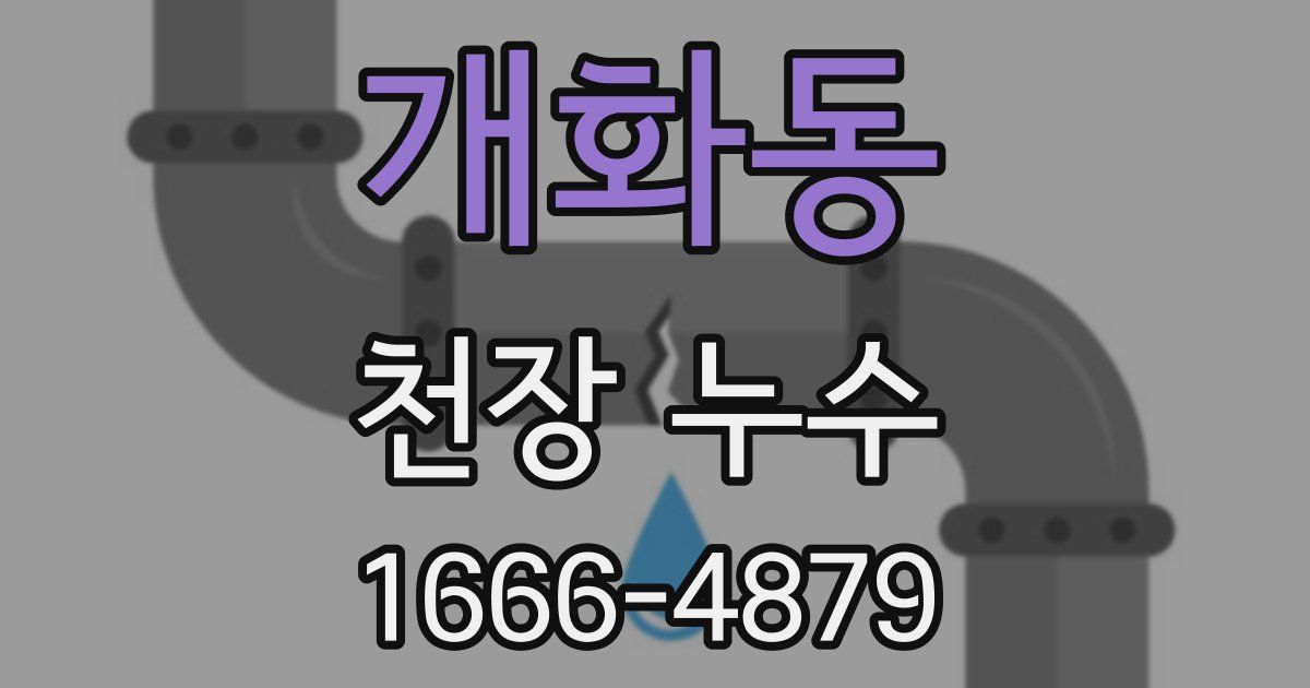 개화동 천장 누수