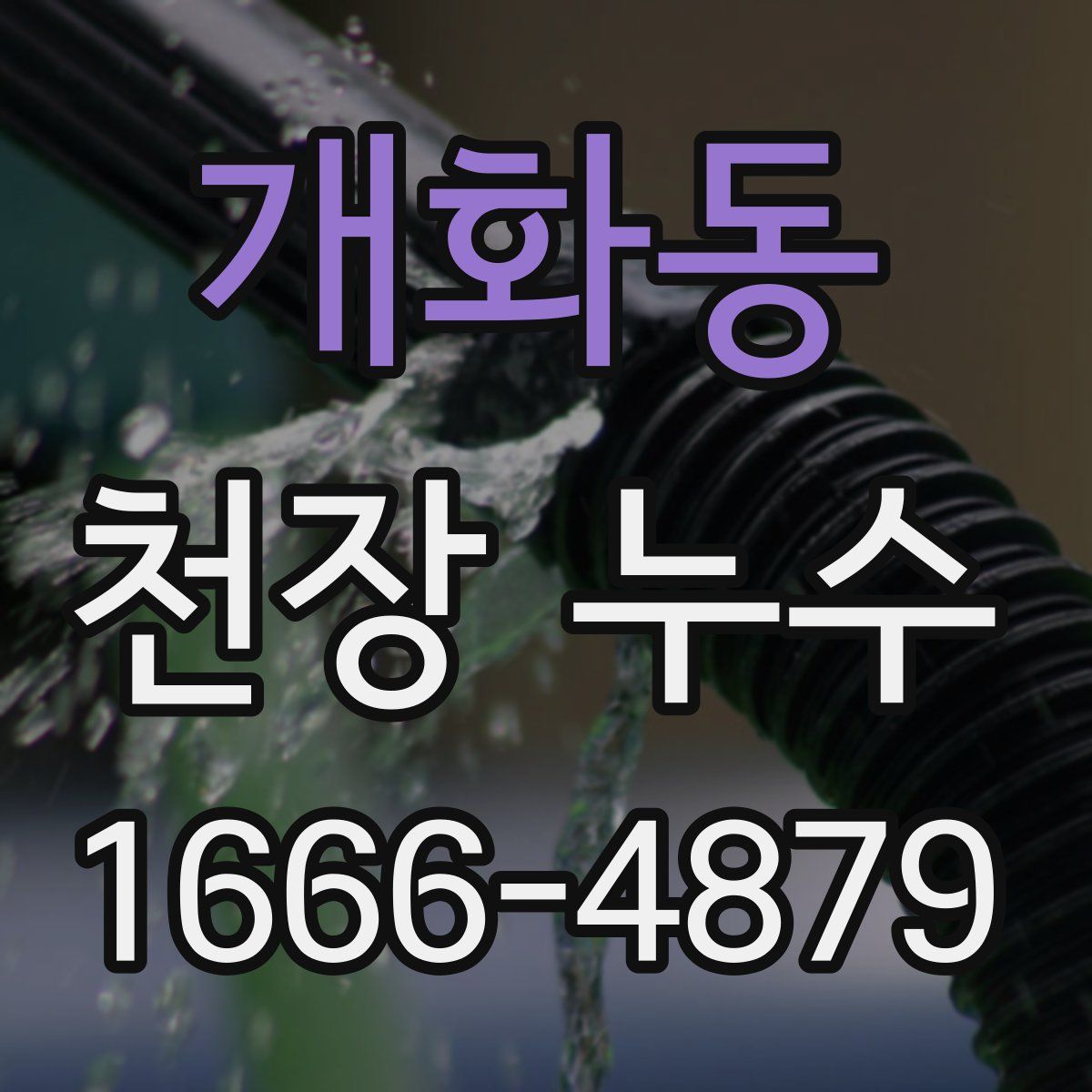 개화동 천장 누수