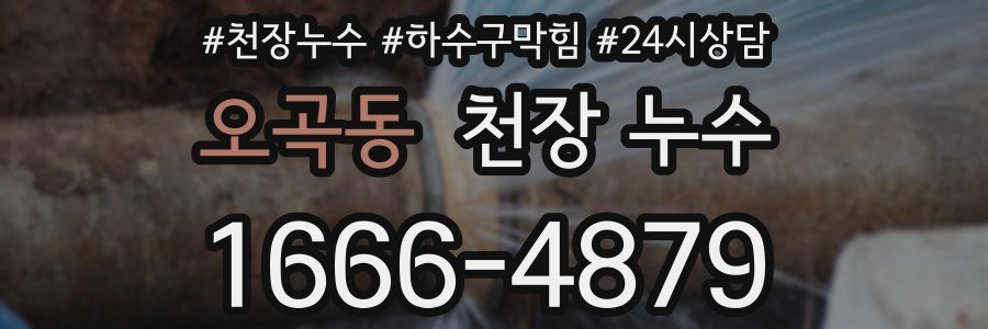 오곡동 천장 누수