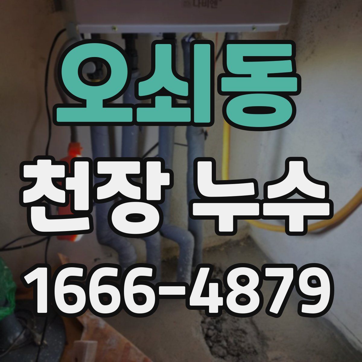 오쇠동 천장 누수