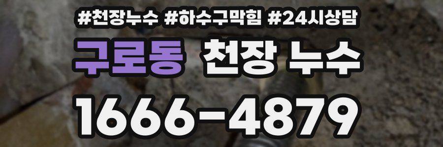 구로동 천장 누수