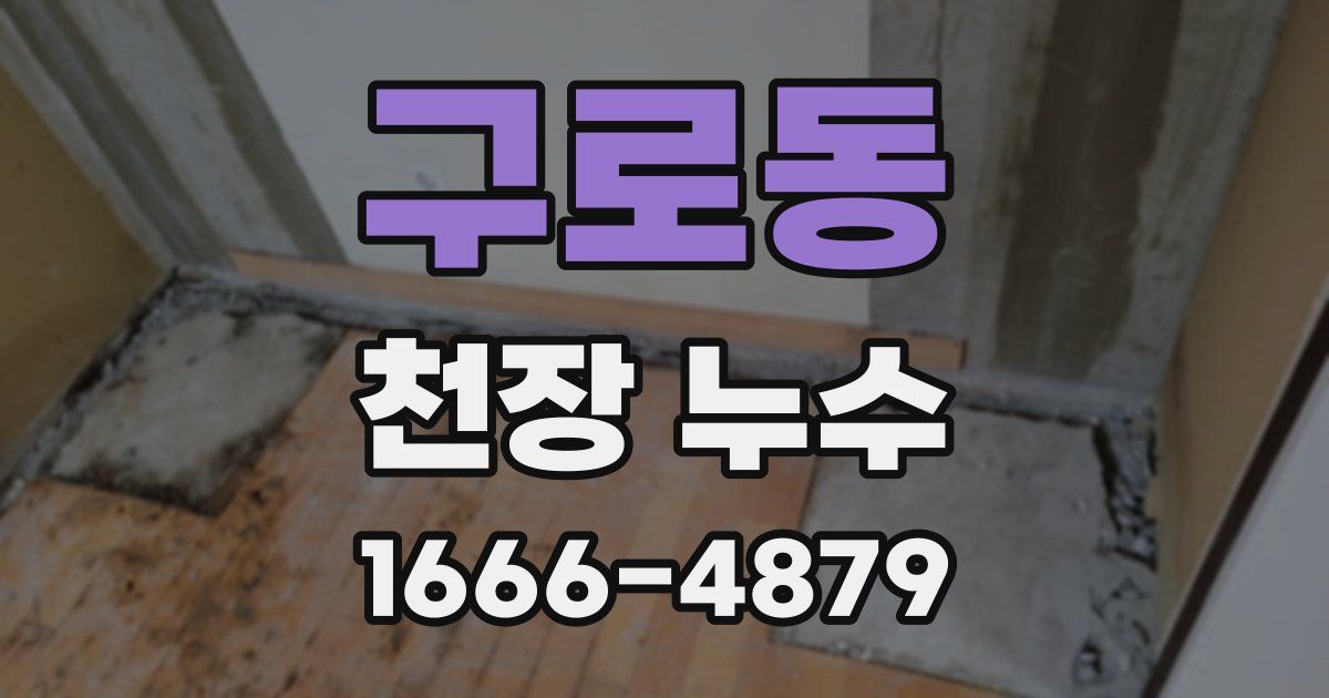 구로동 천장 누수