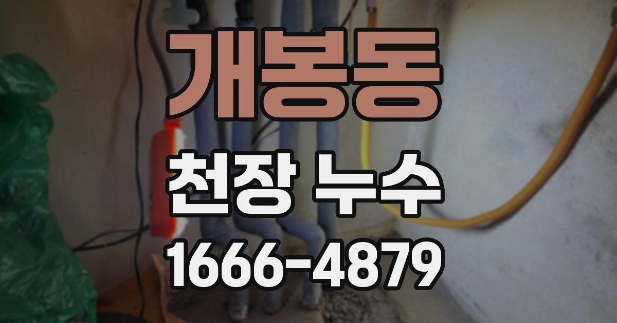 개봉동 천장 누수