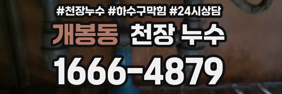 개봉동 천장 누수