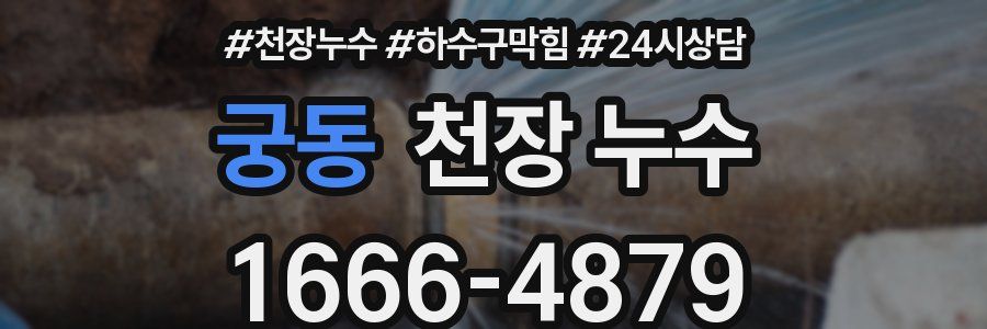 궁동 천장 누수