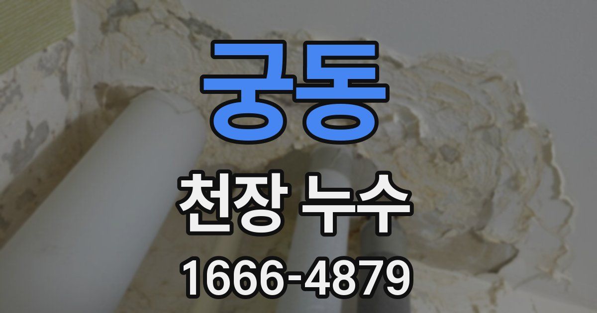 궁동 천장 누수