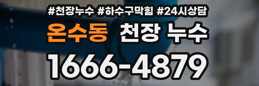 온수동 천장 누수
