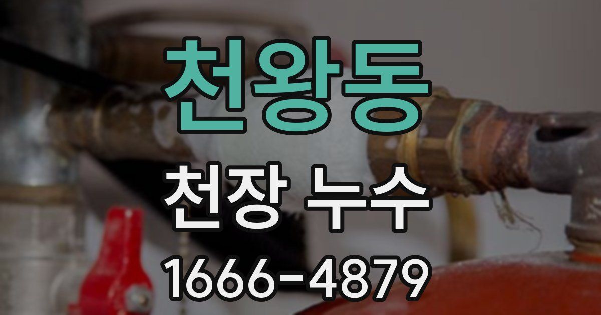 천왕동 천장 누수