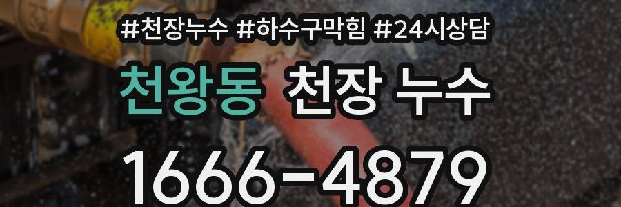 천왕동 천장 누수