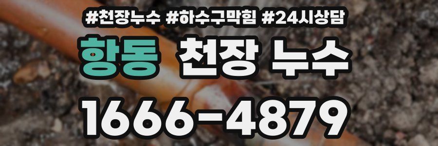 항동 천장 누수