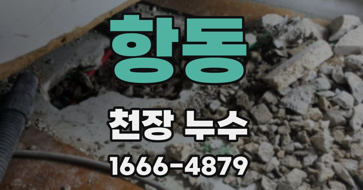 항동 천장 누수