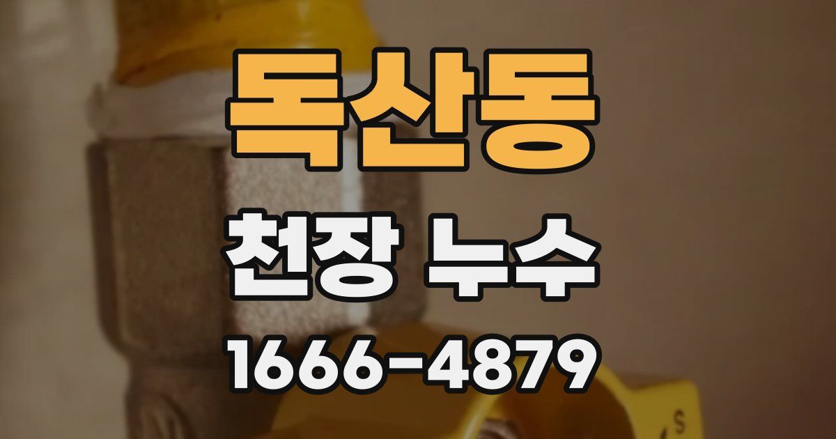 독산동 천장 누수