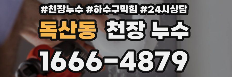 독산동 천장 누수