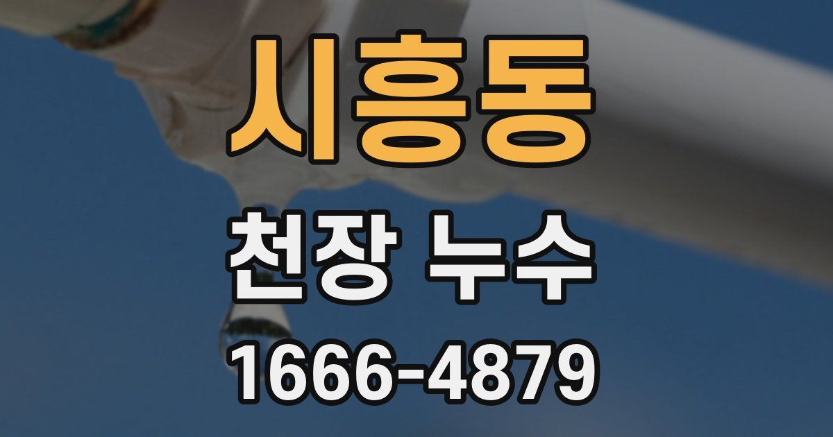 시흥동 천장 누수