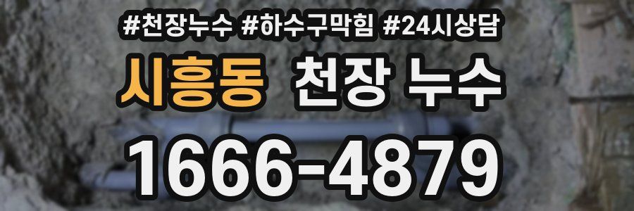 시흥동 천장 누수