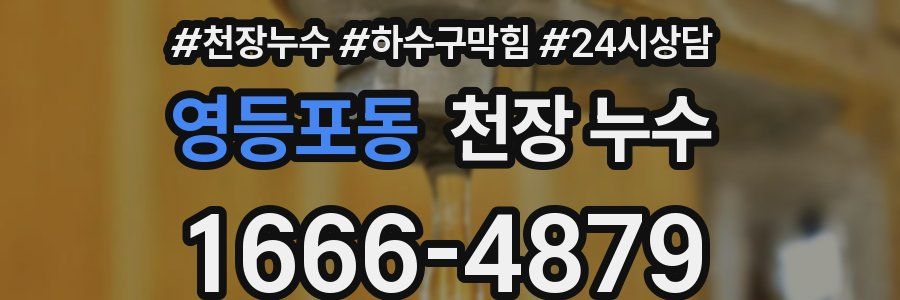 영등포동 천장 누수