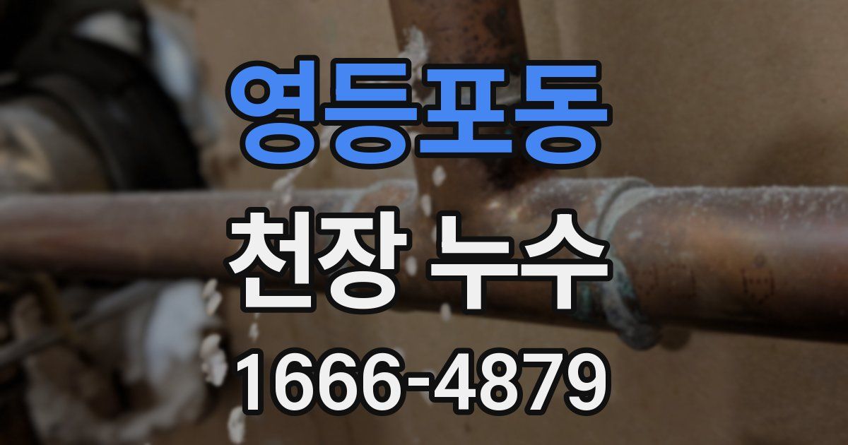 영등포동 천장 누수