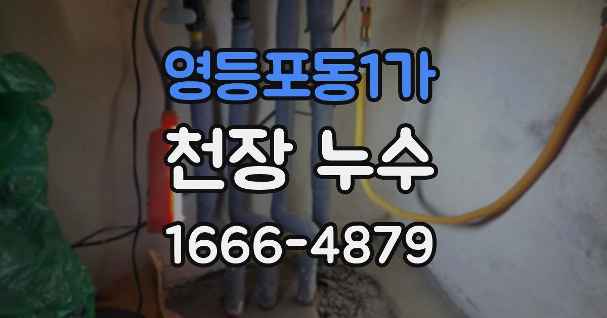 영등포동1가 천장 누수