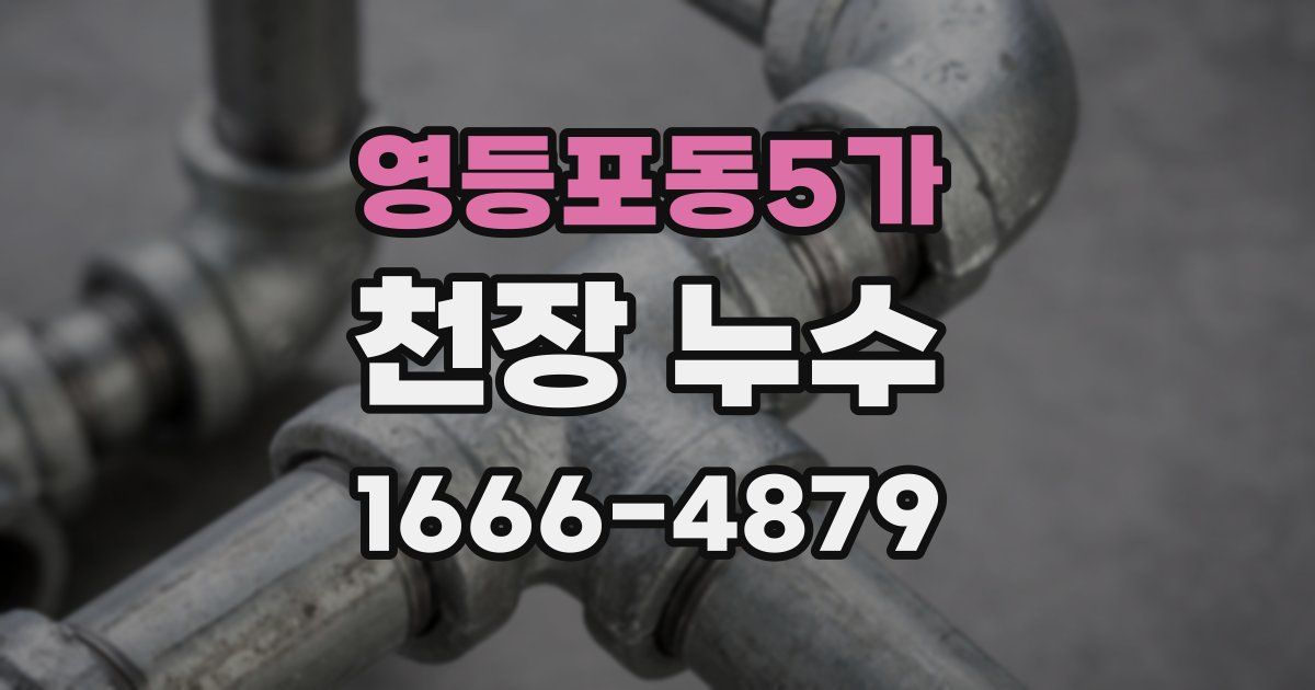 영등포동5가 천장 누수