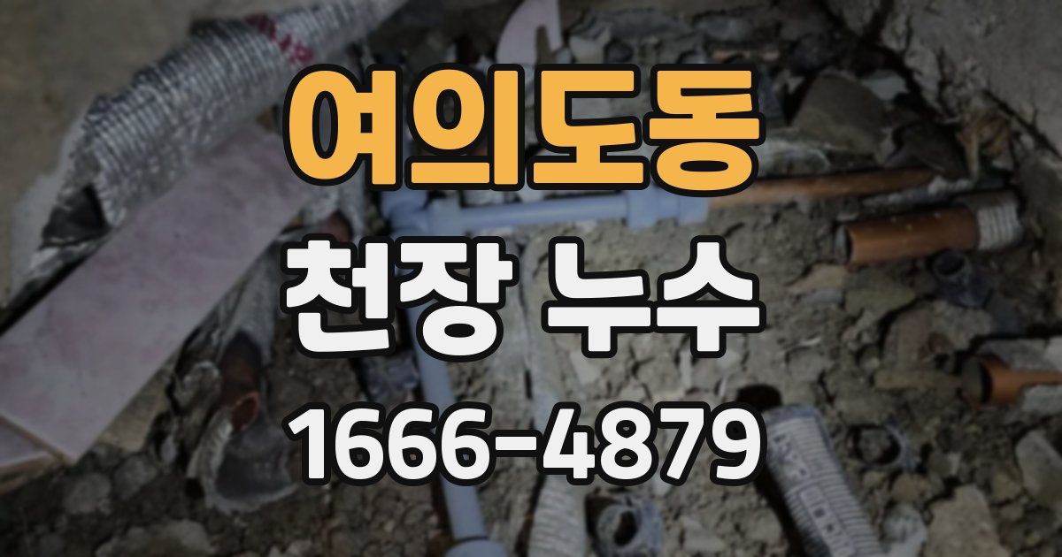 여의도동 천장 누수