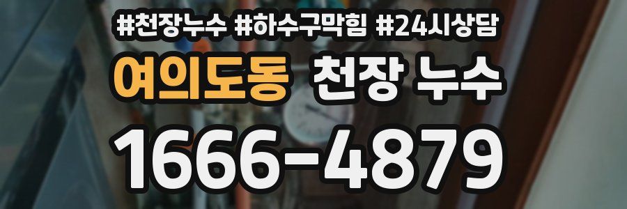 여의도동 천장 누수