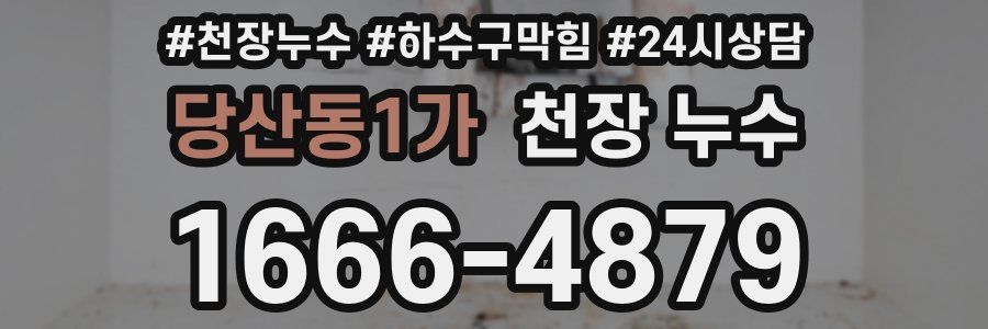 당산동1가 천장 누수