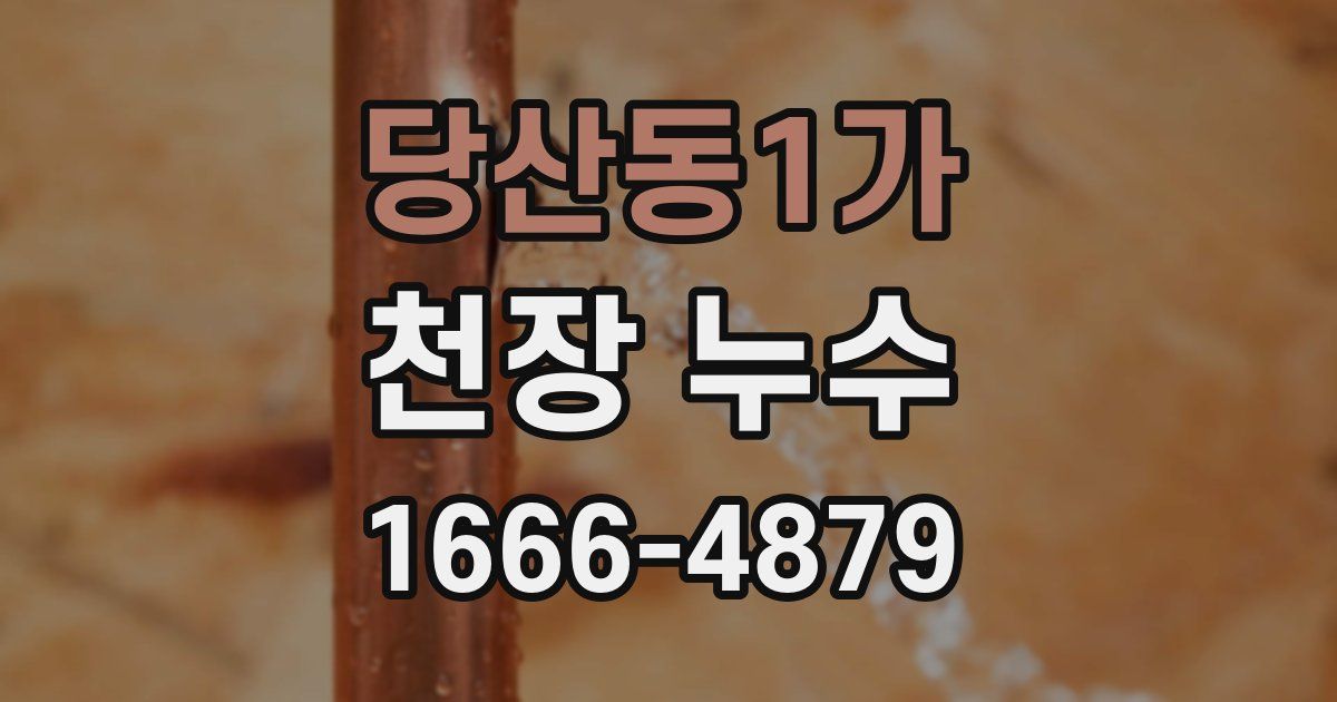 당산동1가 천장 누수