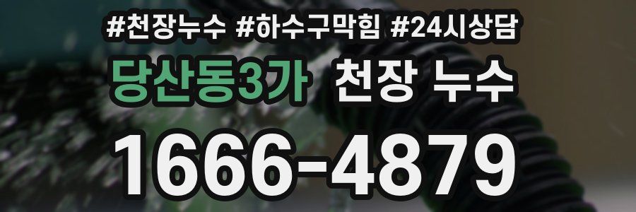 당산동3가 천장 누수