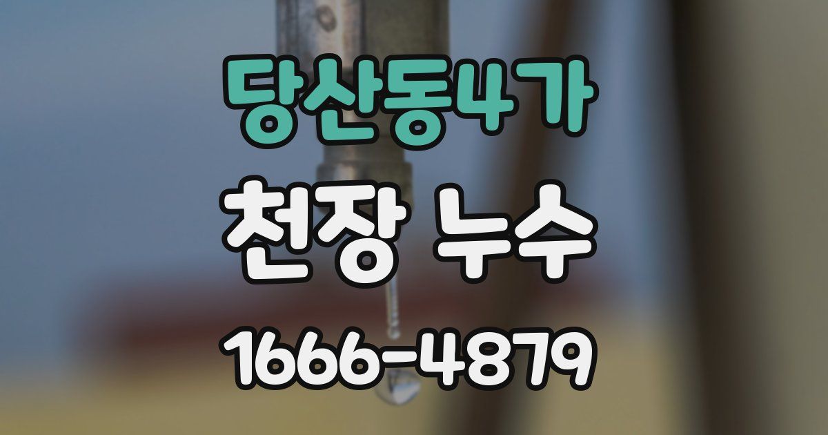 당산동4가 천장 누수