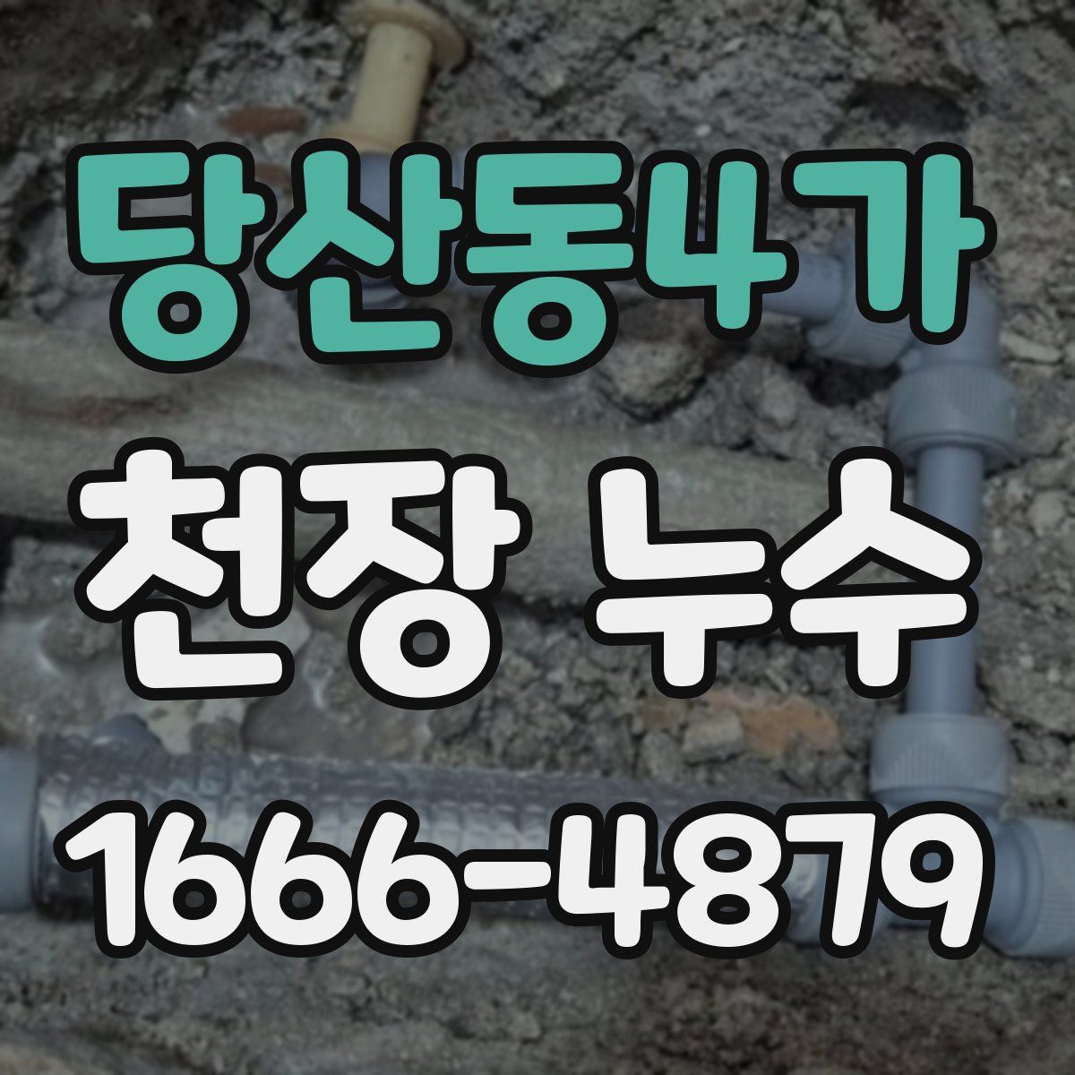 당산동4가 천장 누수