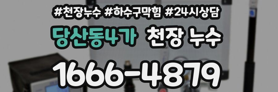 당산동4가 천장 누수