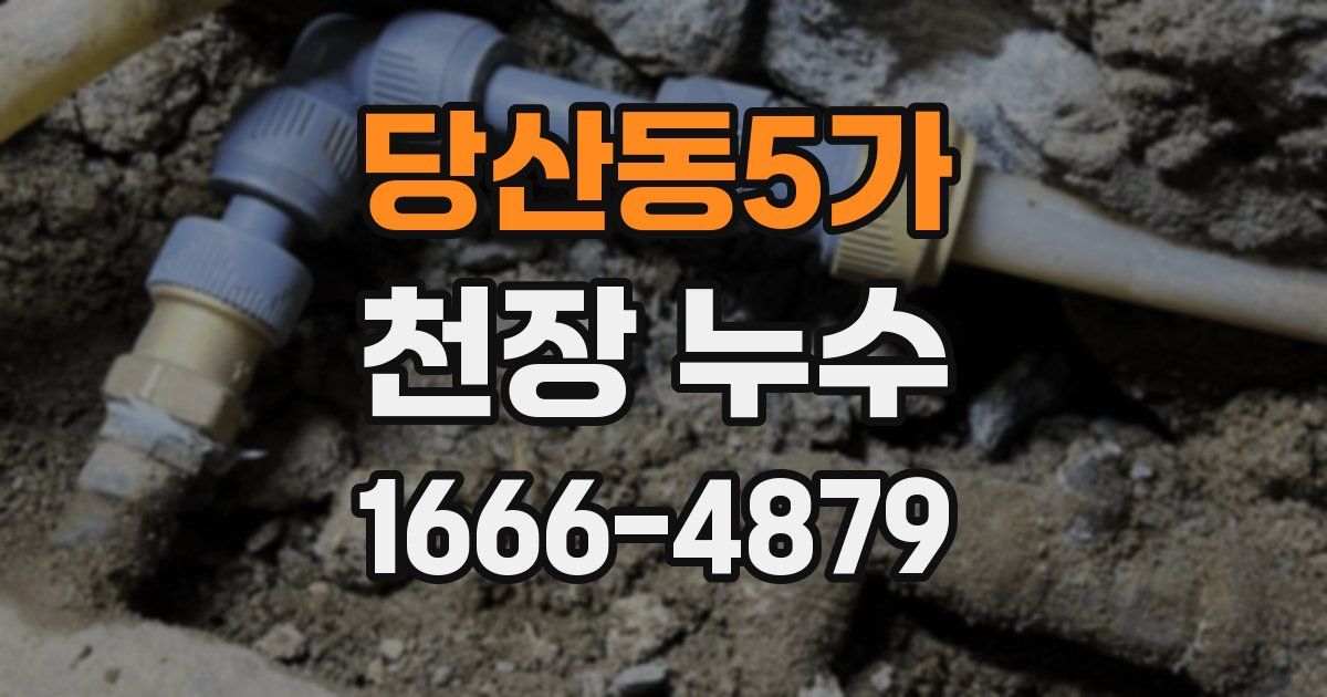 당산동5가 천장 누수