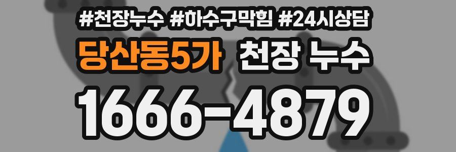 당산동5가 천장 누수