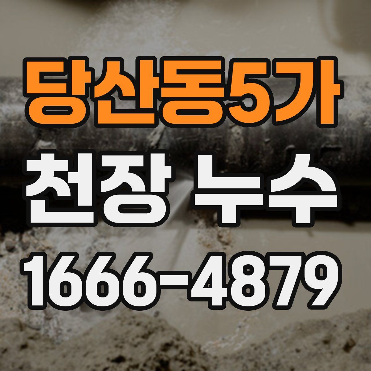 당산동5가 천장 누수