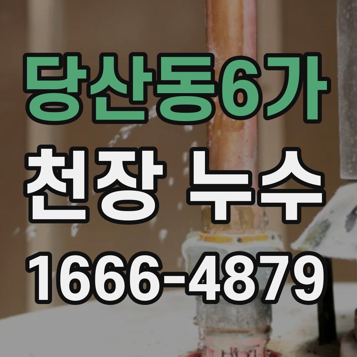 당산동6가 천장 누수