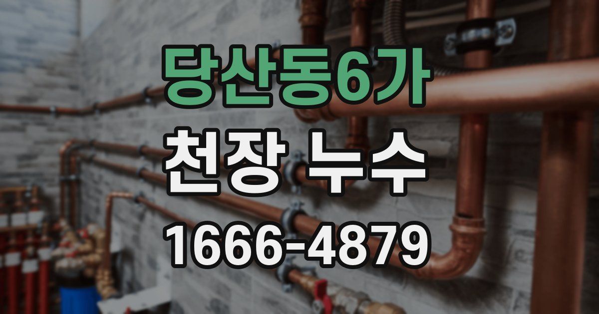 당산동6가 천장 누수