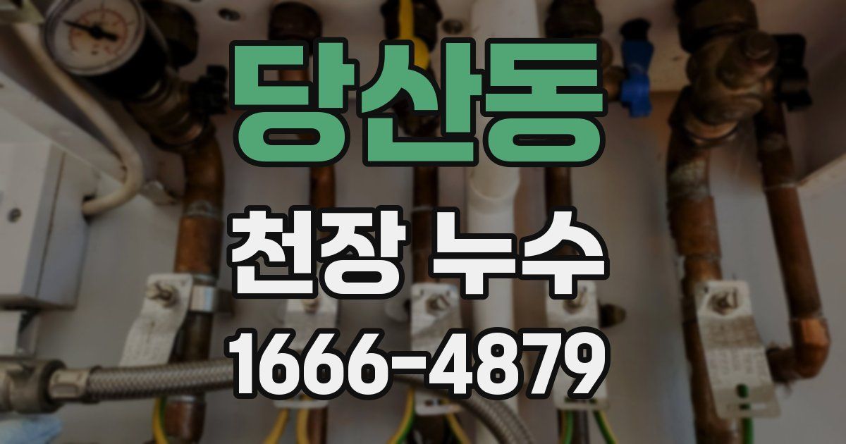 당산동 천장 누수