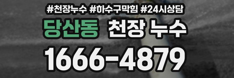 당산동 천장 누수