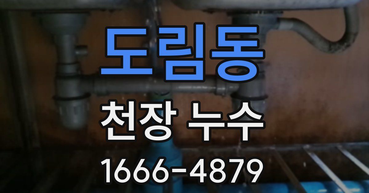 도림동 천장 누수