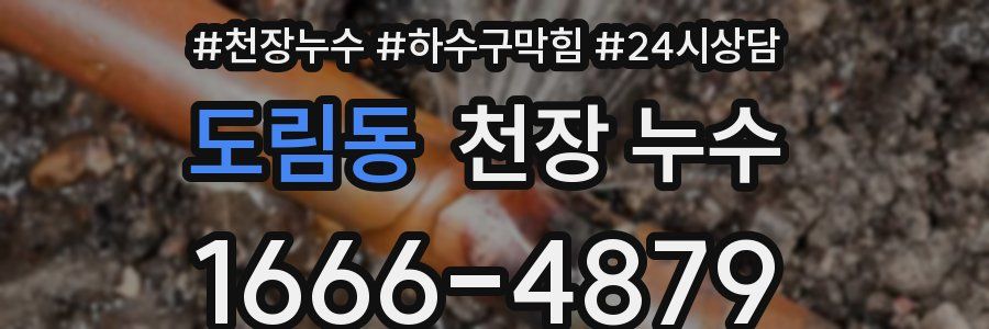 도림동 천장 누수