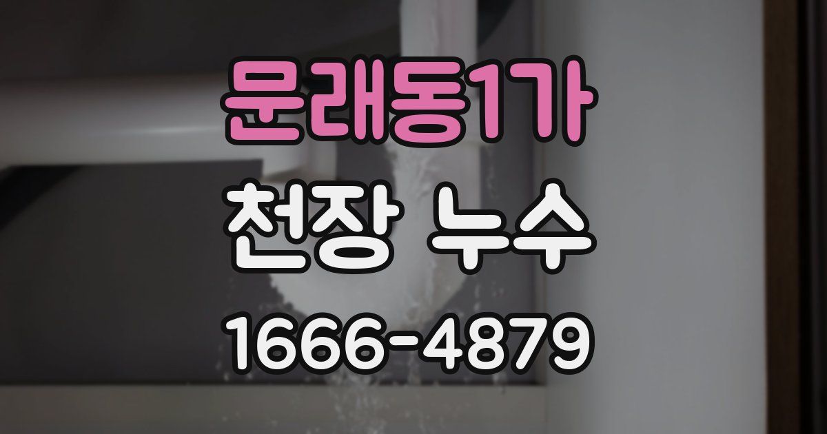 문래동1가 천장 누수