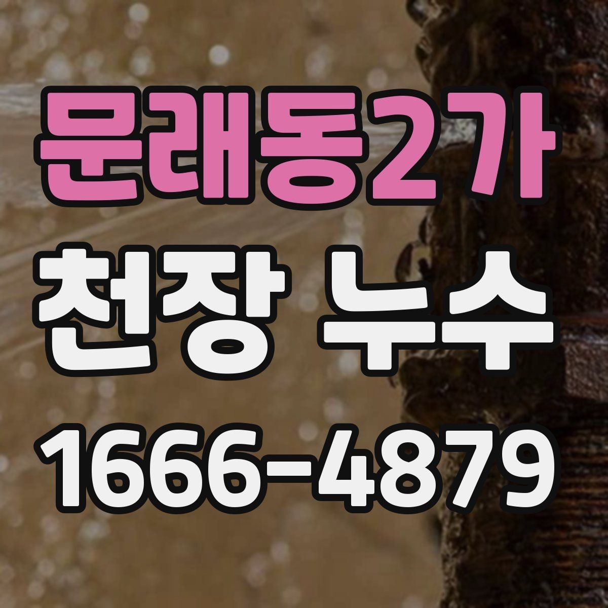 문래동2가 천장 누수 세탁실 천장 누수일 때 체크 포인트