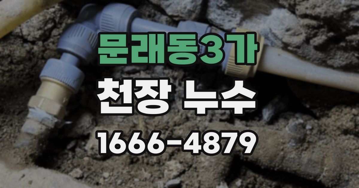 문래동3가 천장 누수