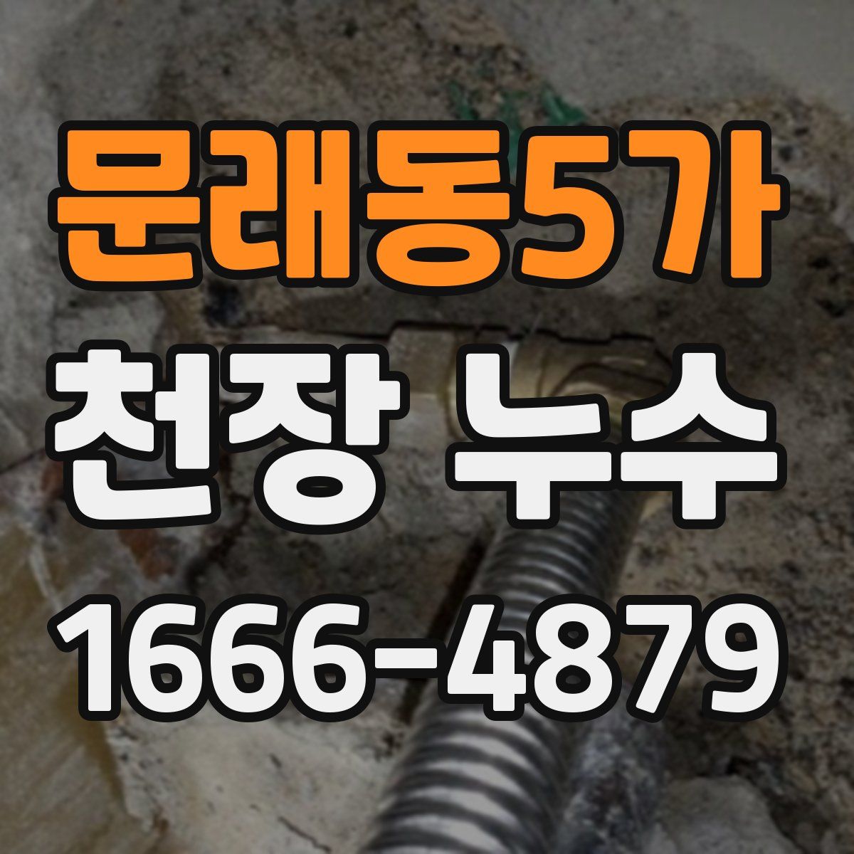 문래동5가 천장 누수