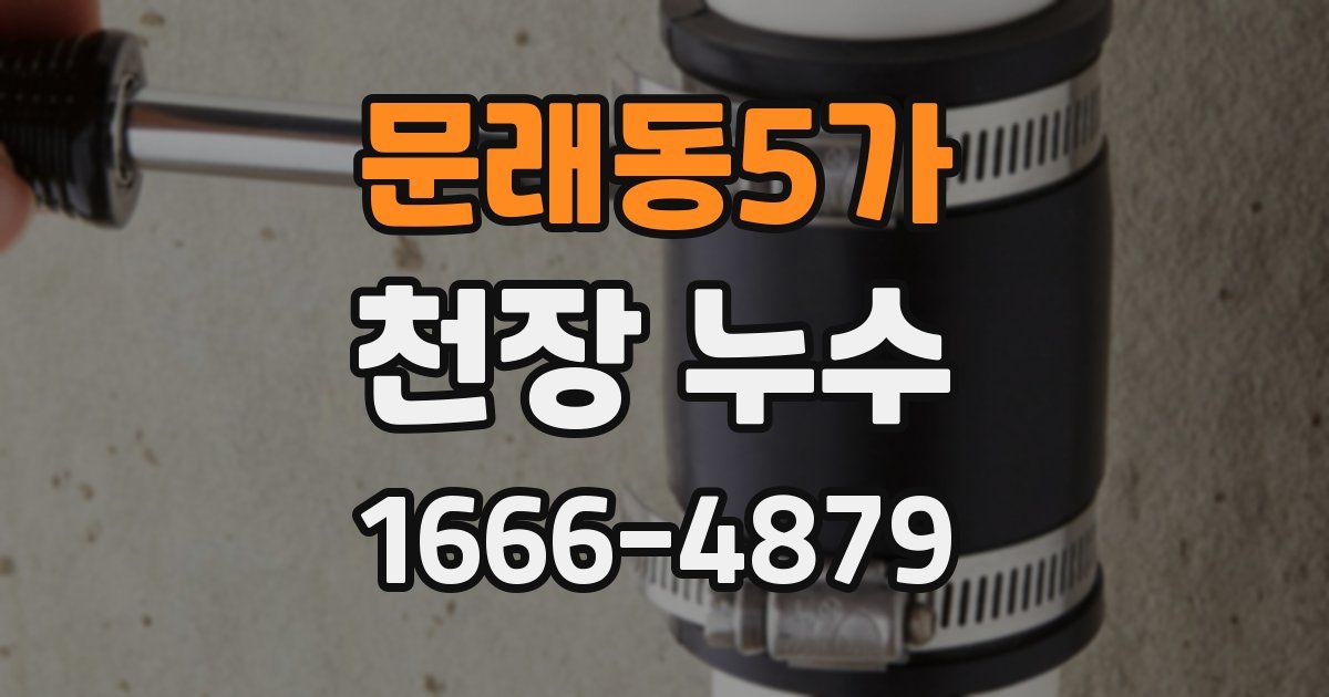 문래동5가 천장 누수